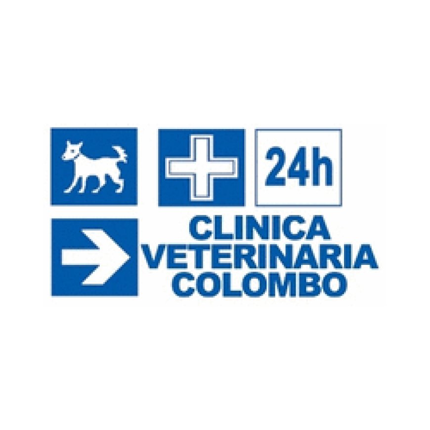 Lido di camaiore Clinica Veterinaria Colombo 0584 611354