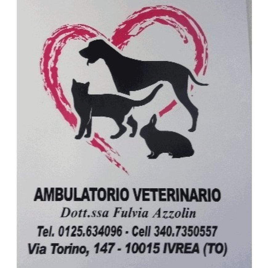 Ivrea Ambulatorio Veterinario Dr.ssa Fulvia Azzolin 0125 634096