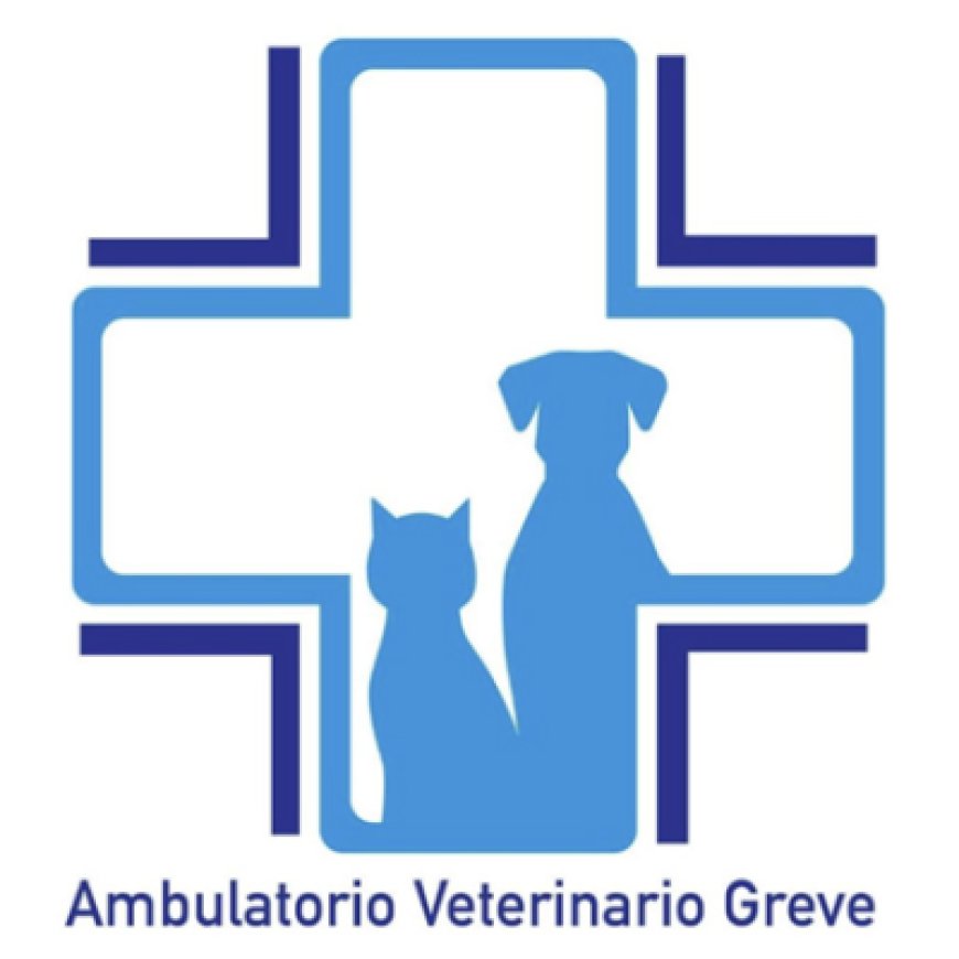 Greve in chianti Ambulatorio Veterinario Greve 055 854364