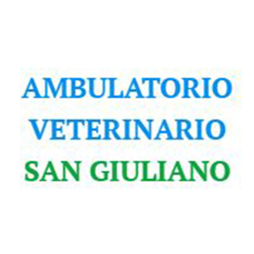 Gozzano Ambulatorio Veterinario San Giuliano 393 492161768