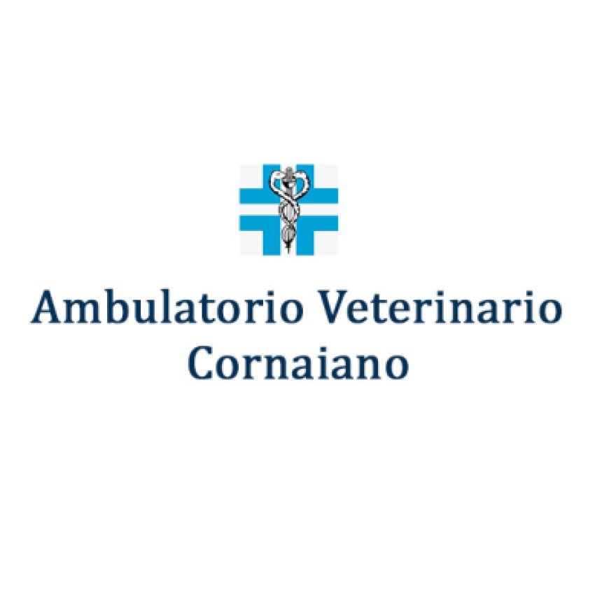 Girlan Ambulatorio Veterinario Cornaiano 338 8821639