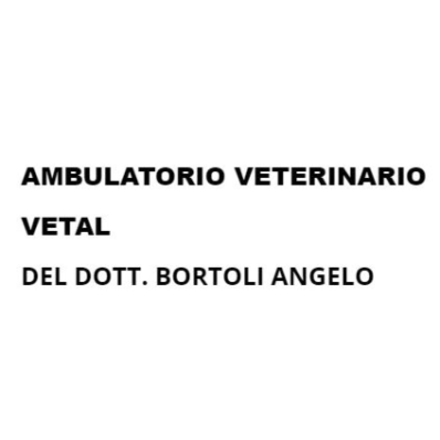 Gallio Ambulatorio Veterinario Vetal del Dottor Bortoli Angelo 348 6953428
