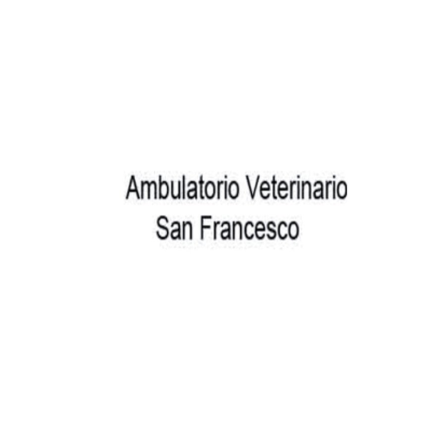 Fossato di vico Ambulatorio Veterinario S. Francesco 075 9149300