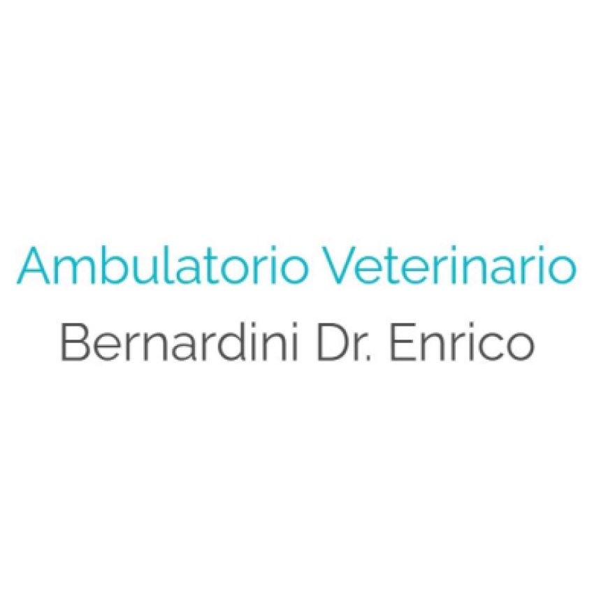 Fornacette Ambulatorio Veterinario Bernardini Dr. Enrico 0587 422337