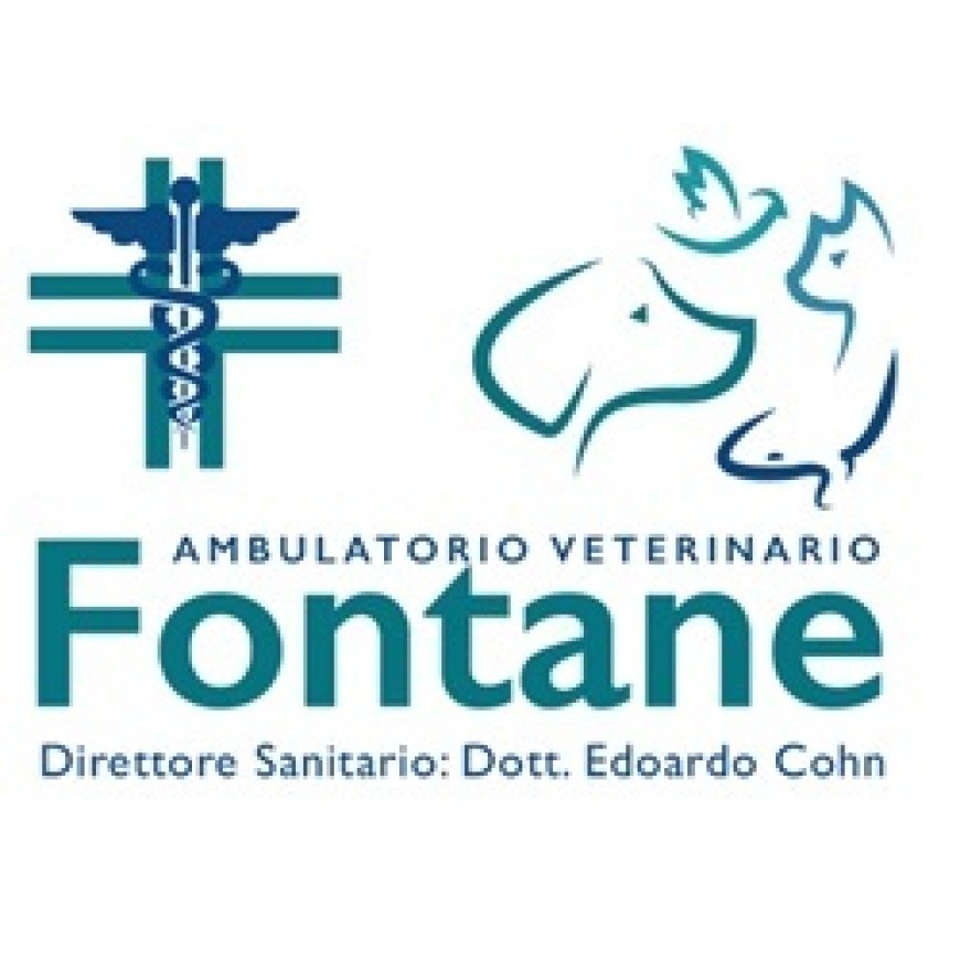 Fontane Ambulatorio Veterinario Fontane 0422 910382