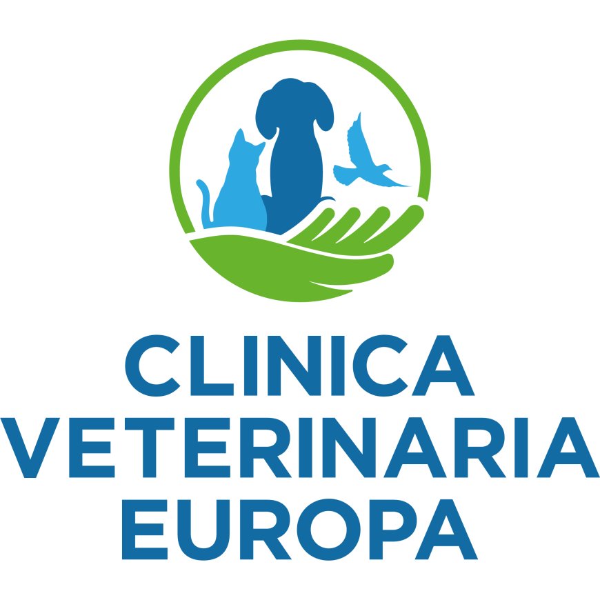 Firenze Clinica Veterinaria Europa 055 684360