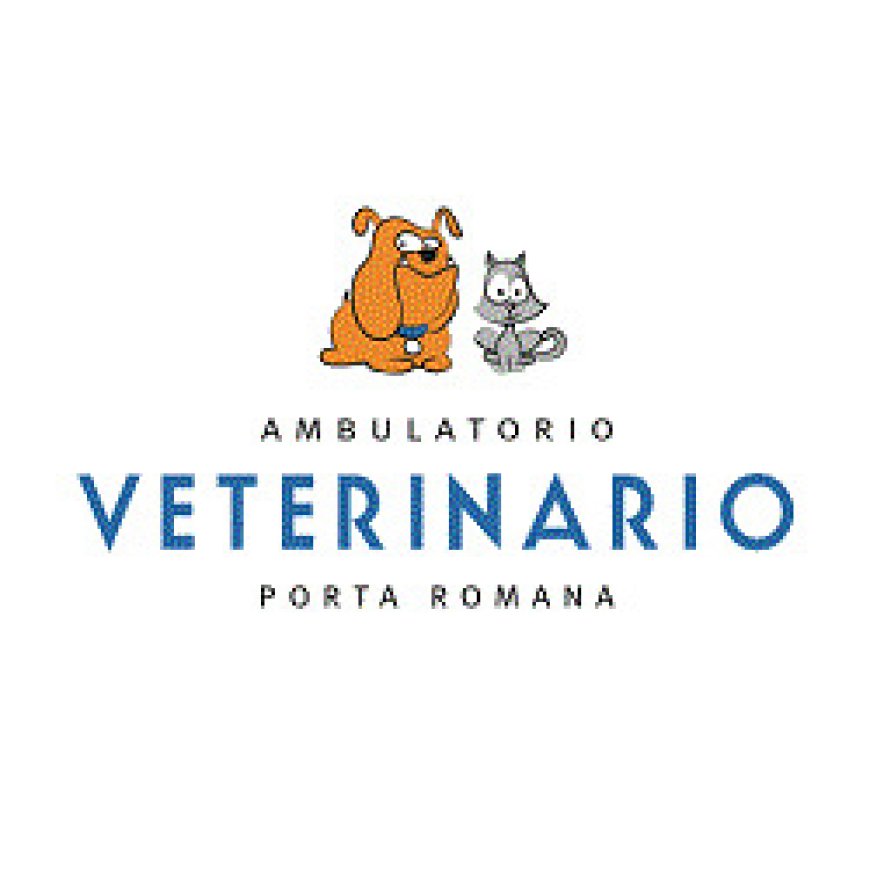 Firenze Ambulatorio Veterinario Porta Romana 055 2336143