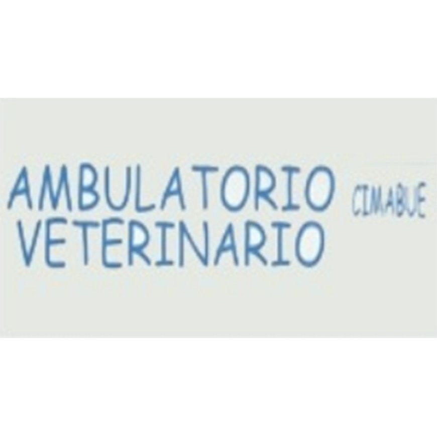 Firenze Ambulatorio Veterinario Cimabue 055 242789