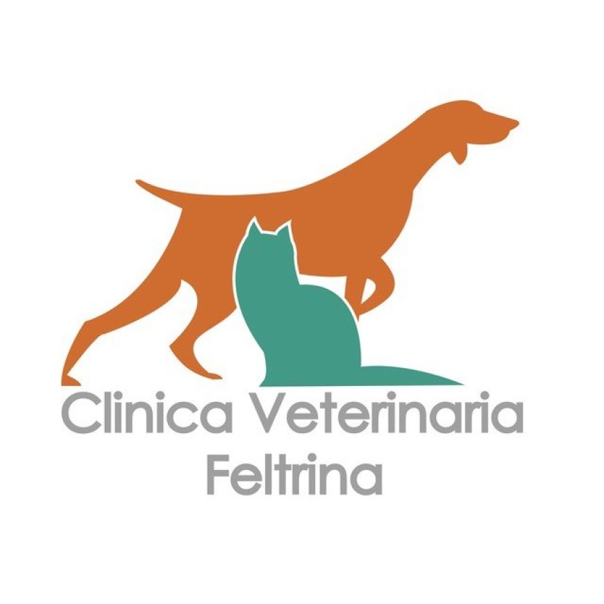 Feltre Clinica Veterinaria Feltrina 0439 2024
