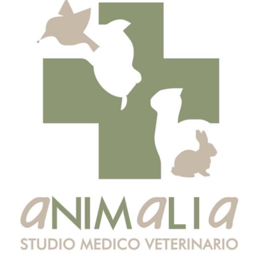Enna Animalia Studio Medico Veterinario Dott. Sola Calogero 338 3267185