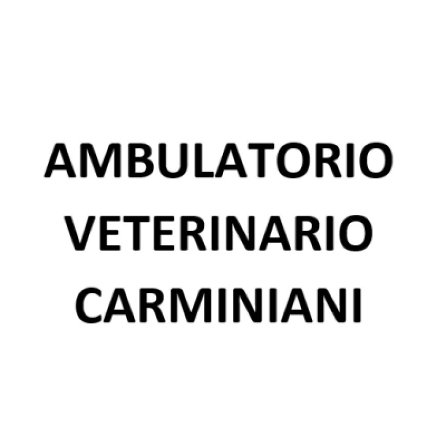 Donoratico Ambulatorio Veterinario Carminiani 0565 774171