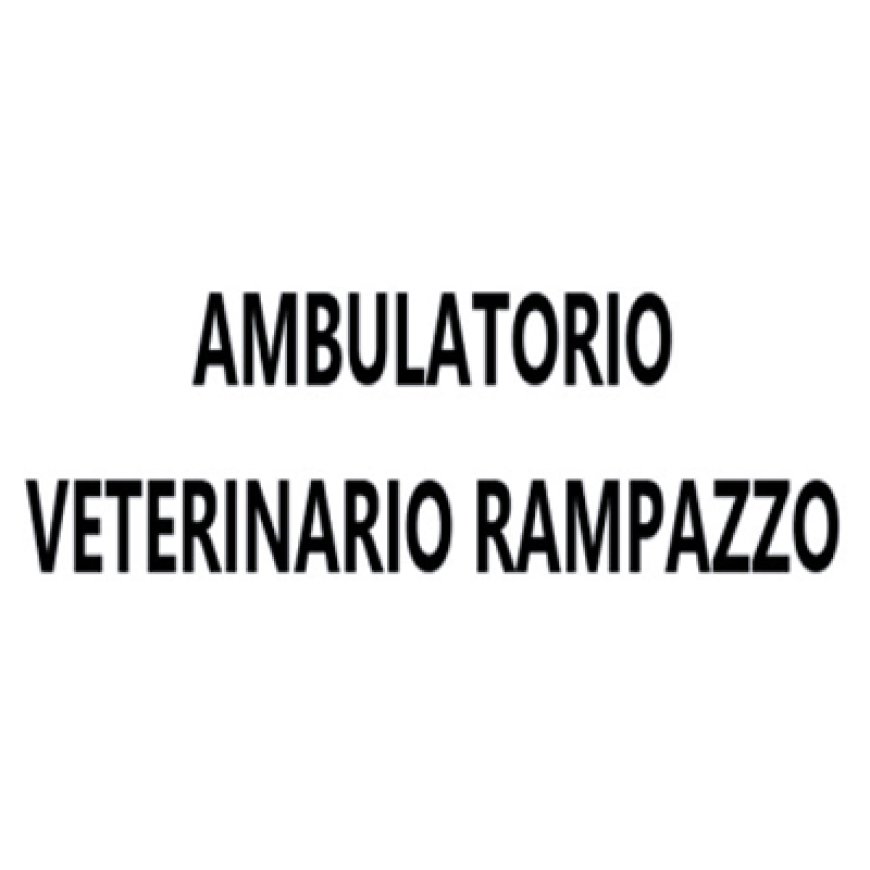 Dolo Ambulatorio Veterinario Dott.ssa Rampazzo Valentina 041 412253