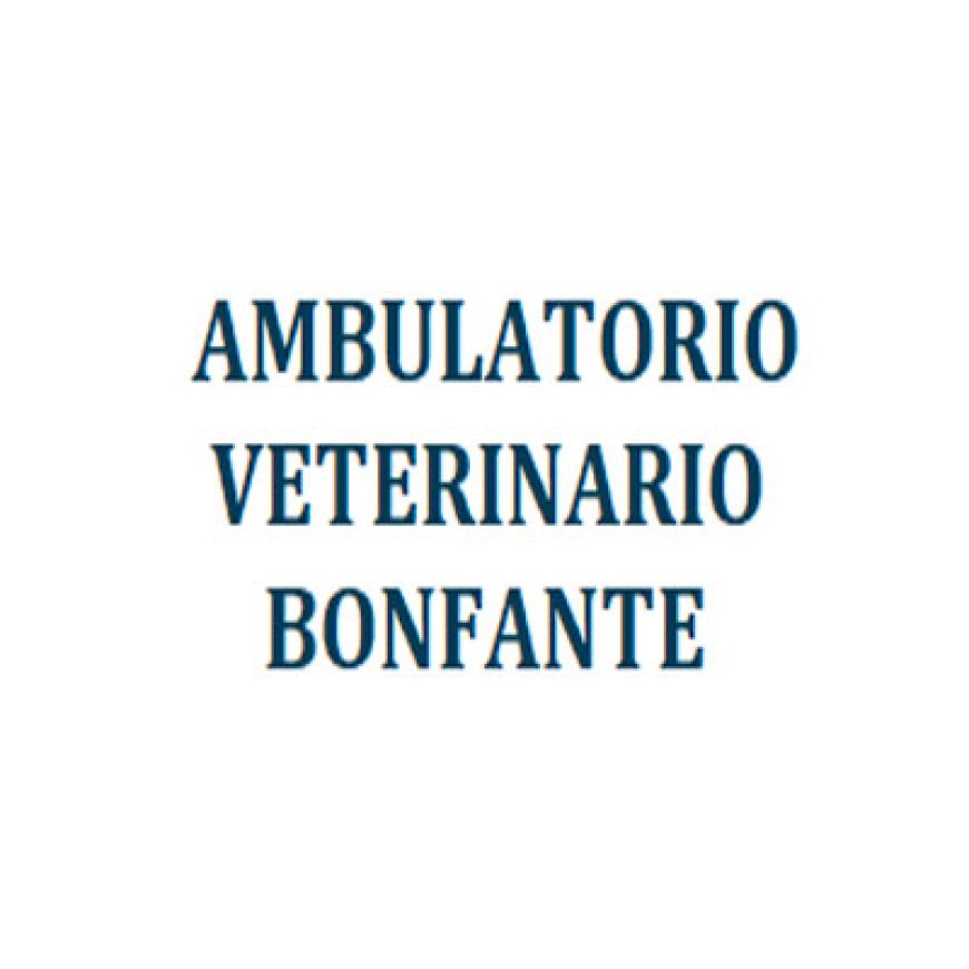 Crescentino Ambulatorio Veterinario Bonfante 338 6664268