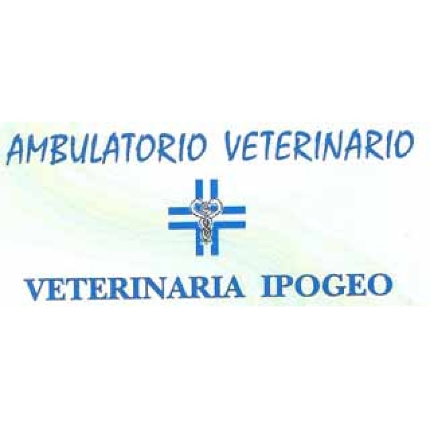 Cortona Clinica Veterinaria Ipogeo 0575 605094