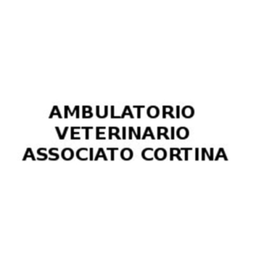 Cortina d&#039;&#039;ampezzo Ambulatorio Veterinario Associato Cortina 0436 5798