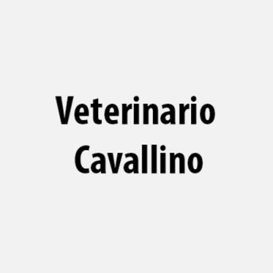 Cavallino-treporti Veterinario Cavallino 327 8335107
