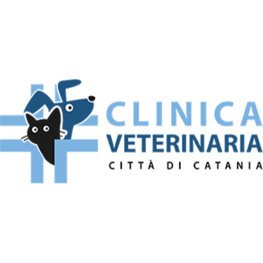 Catania Clinica Veterinaria Città Di Catania 095 503924