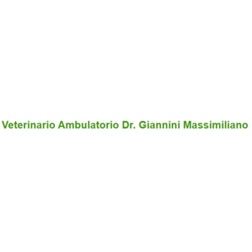 Castel focognano Veterinario Ambulatorio Dr. Giannini Massimiliano 0575 591889