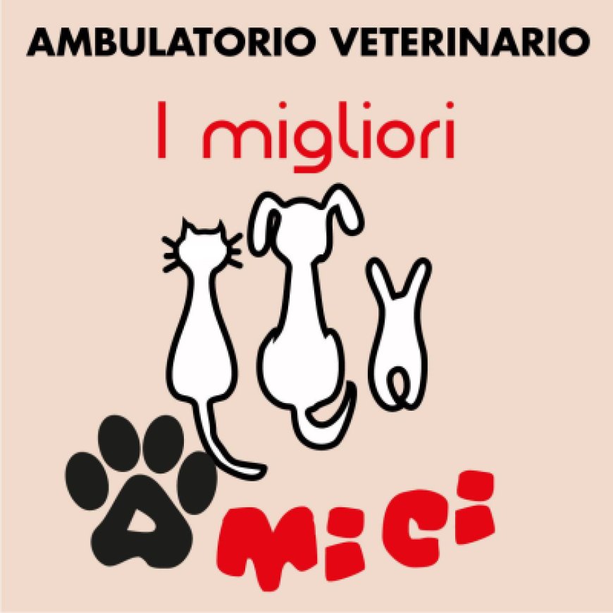 Capannori Ambulatorio veterinario I Migliori Amici 0583 935552