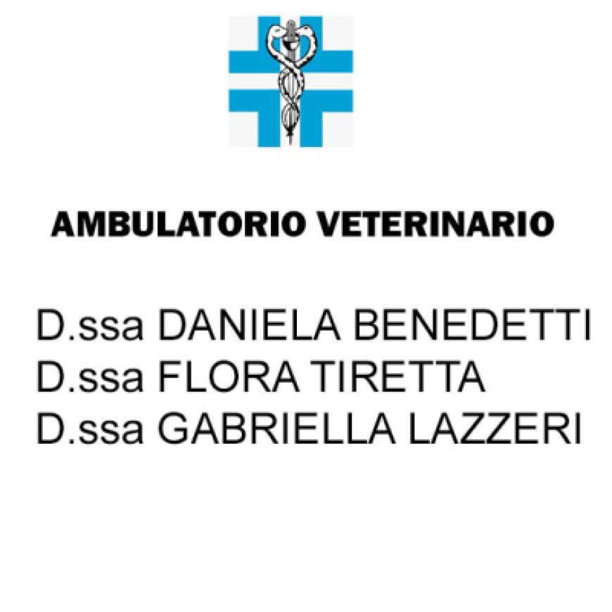Capannori Ambulatorio Veterinario Benedetti - Tiretta e Lazzeri 0583 429301