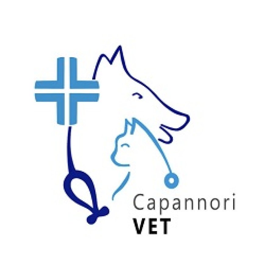 Capannori Ambulatorio Medico Veterinario CapannoriVET del Dott. Luca Cassiani 346 5773876