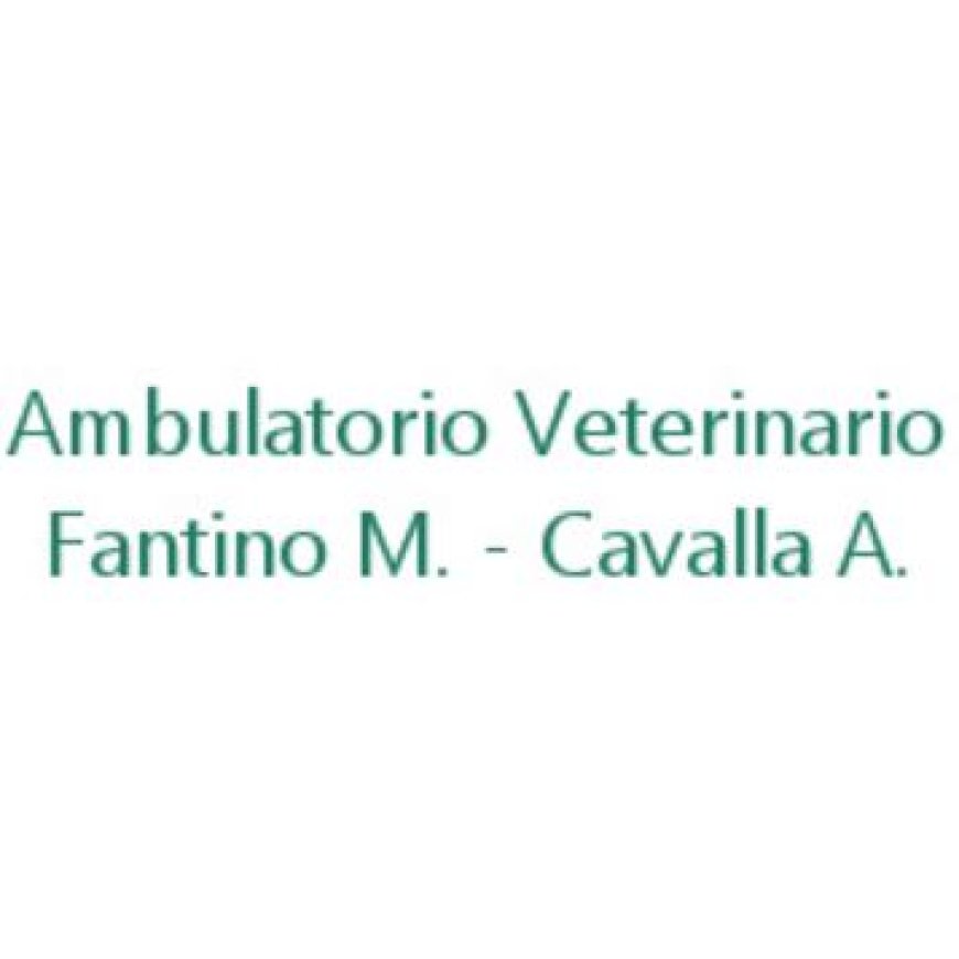 Canale Ambulatorio Veterinario Fantino - Cavalla 0173 979762
