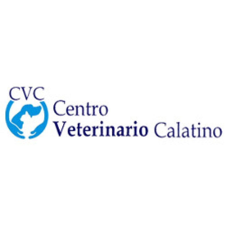 Caltagirone Centro Veterinario Calatino 0933 34233