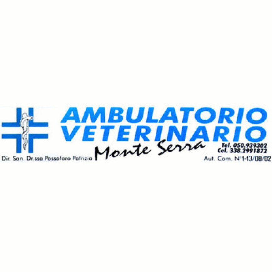 Calci Ambulatorio Veterinario Monteserra 050 939302