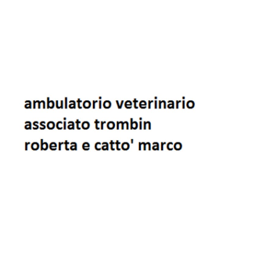 Borgo veneto Ambulatorio Veterinario Associato Trombin Roberta e Cattò Marco 0429 899080