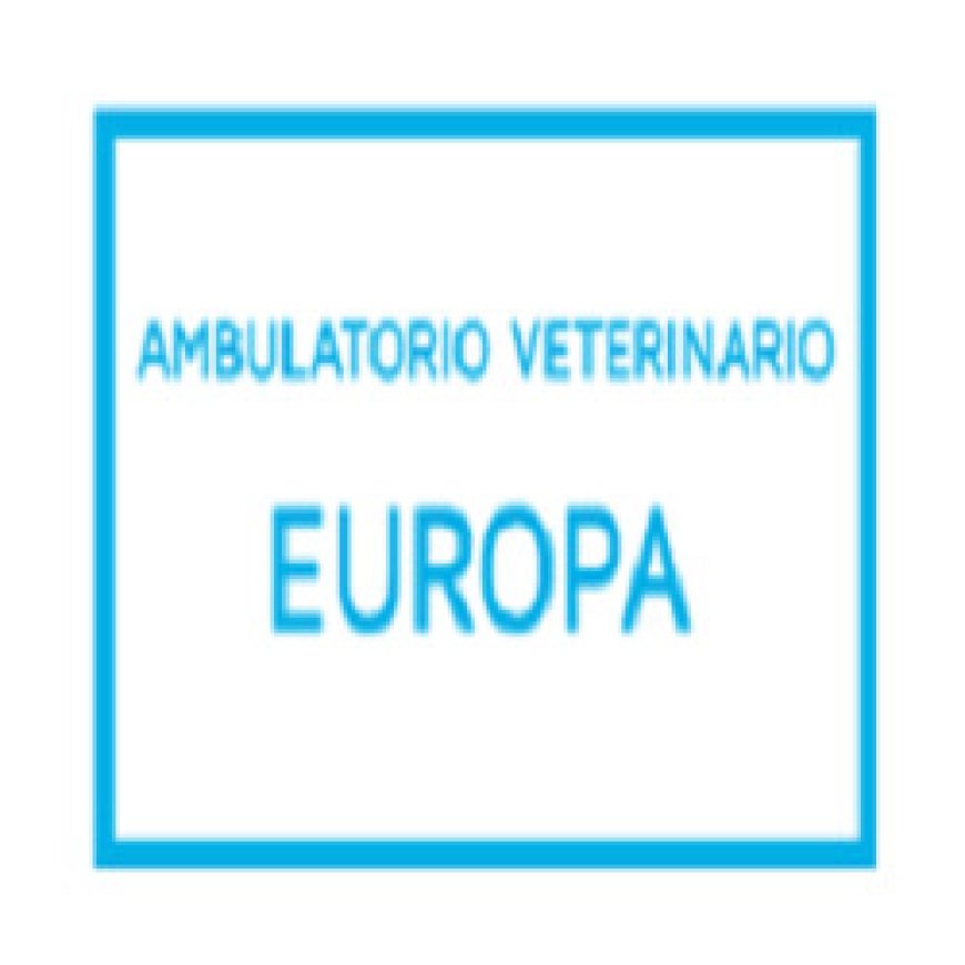 Bolzano Ambulatorio Veterinario Europa 0471 911916