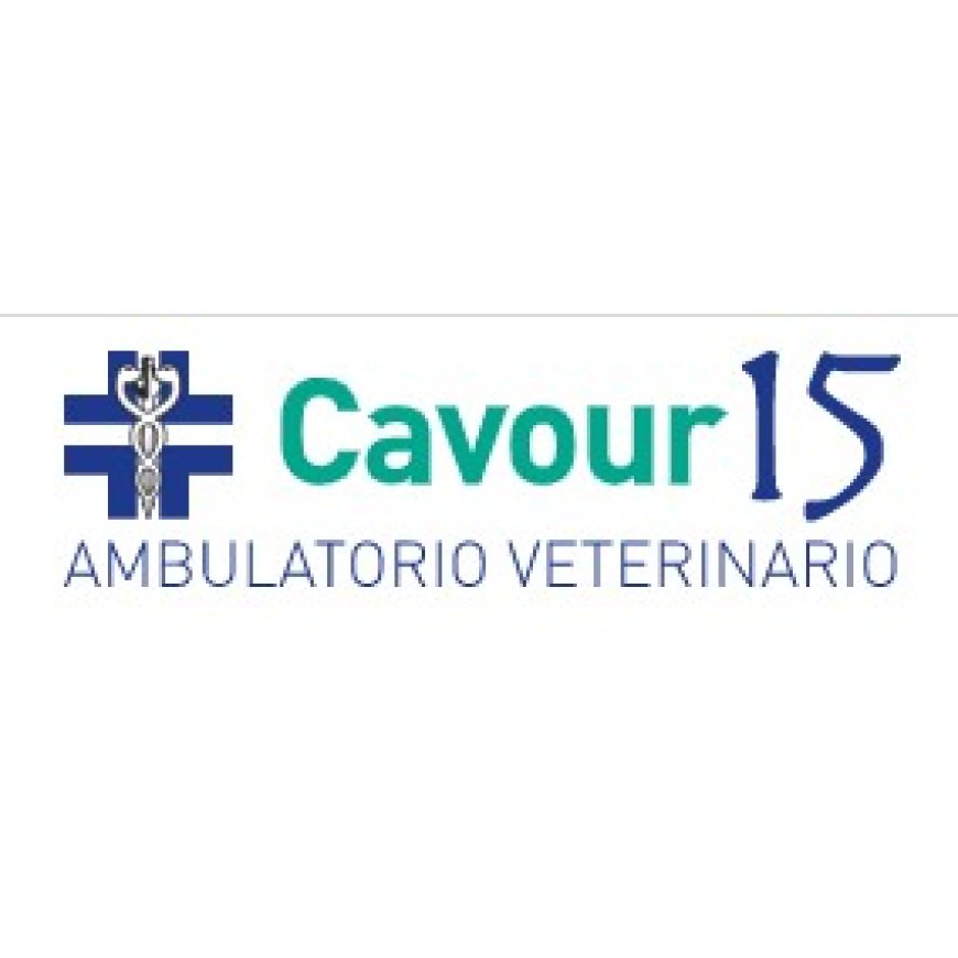 Biella Ambulatorio Veterinario Associato Cavour 15 015 355336