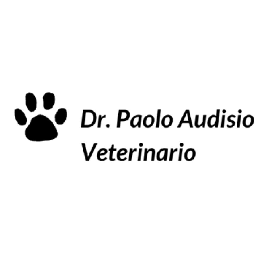Beinasco Dr. Paolo Audisio Veterinario 328 3065701