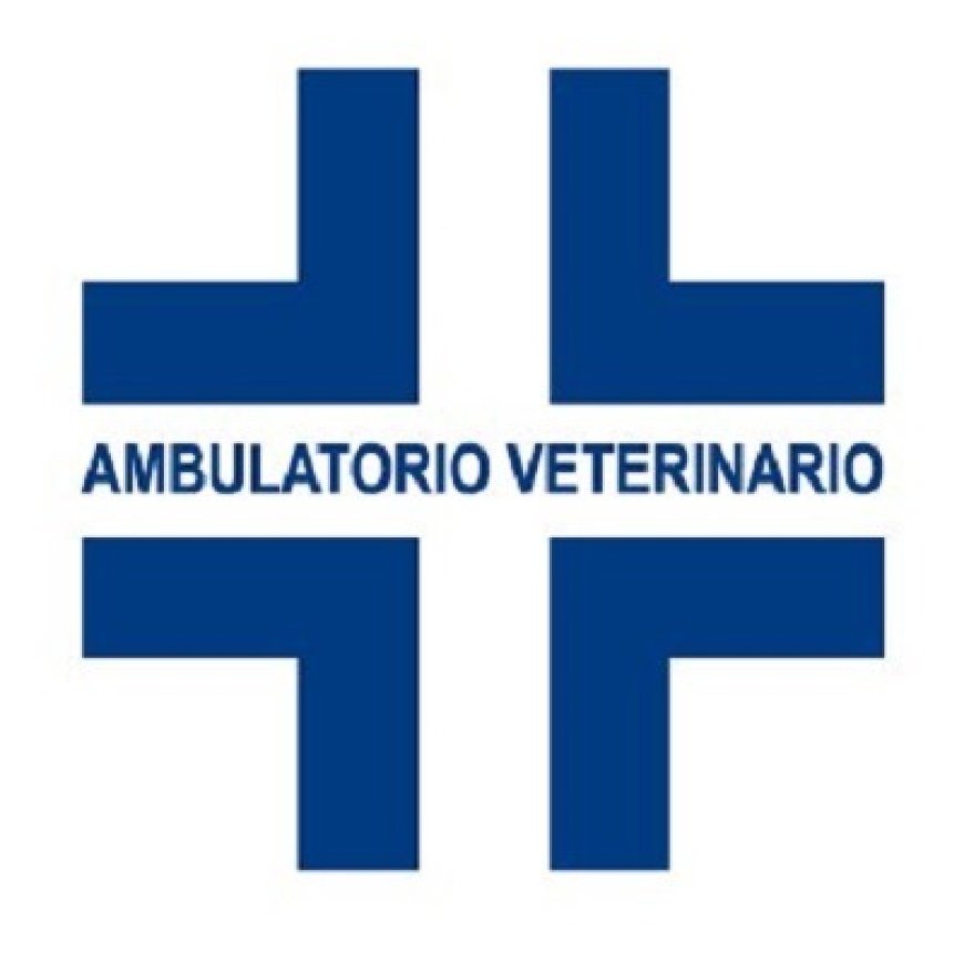 Bastia umbra Ambulatorio Veterinario San Rocco - Dott. di Fabrizio Lamberto 075 8010281