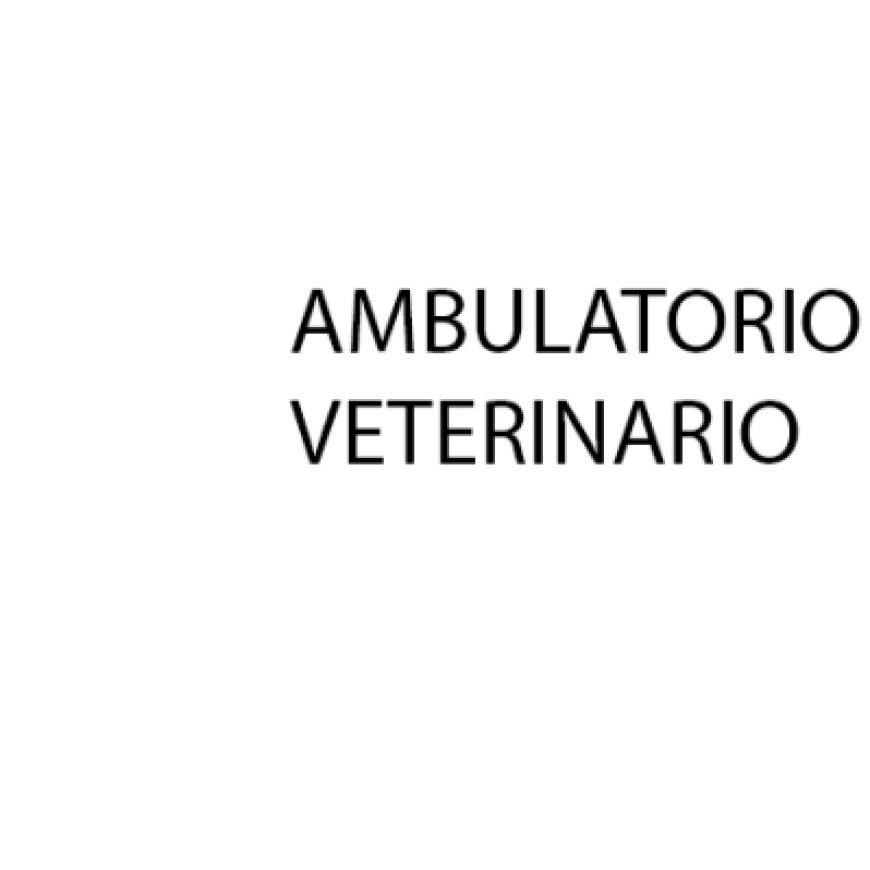 Arzignano Ambulatorio Veterinario Dottor Lelio Benedini 0444 674351