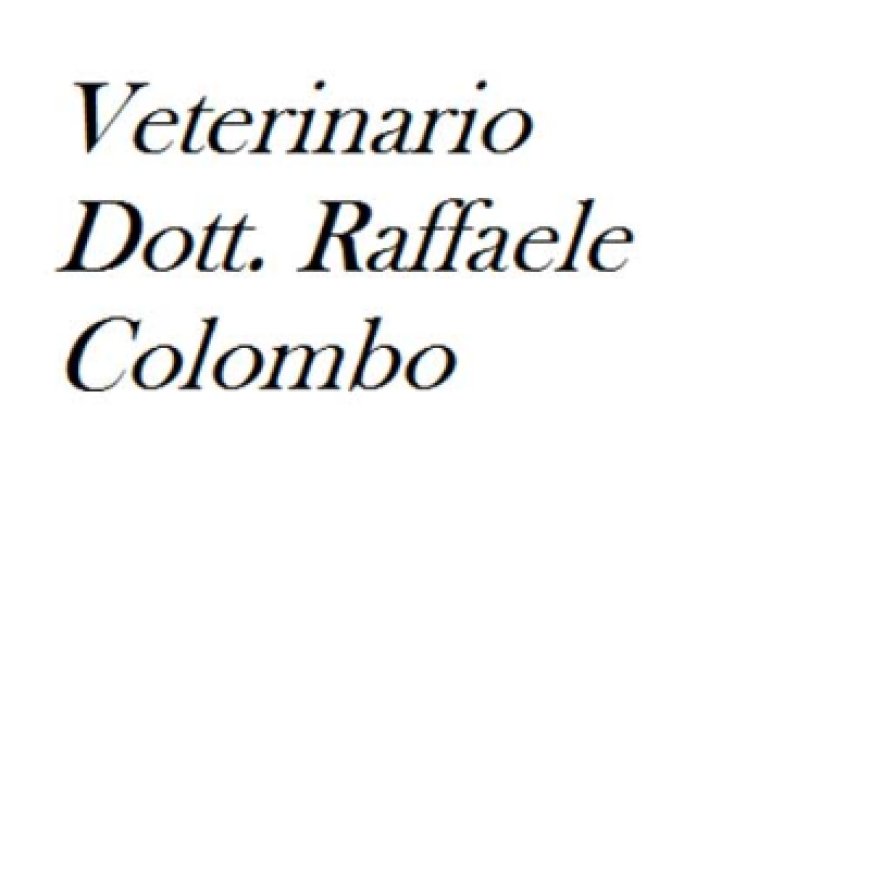 Arzachena Veterinario Dr. R. Colombo 0789 82718