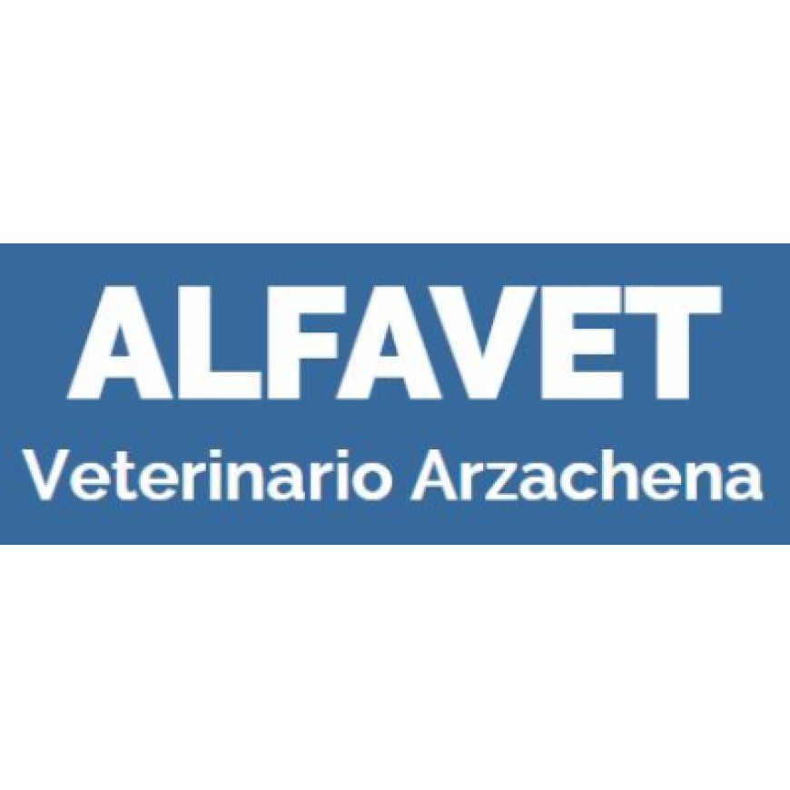 Arzachena Alfavet Ambulatorio Veterinario 0789 82197