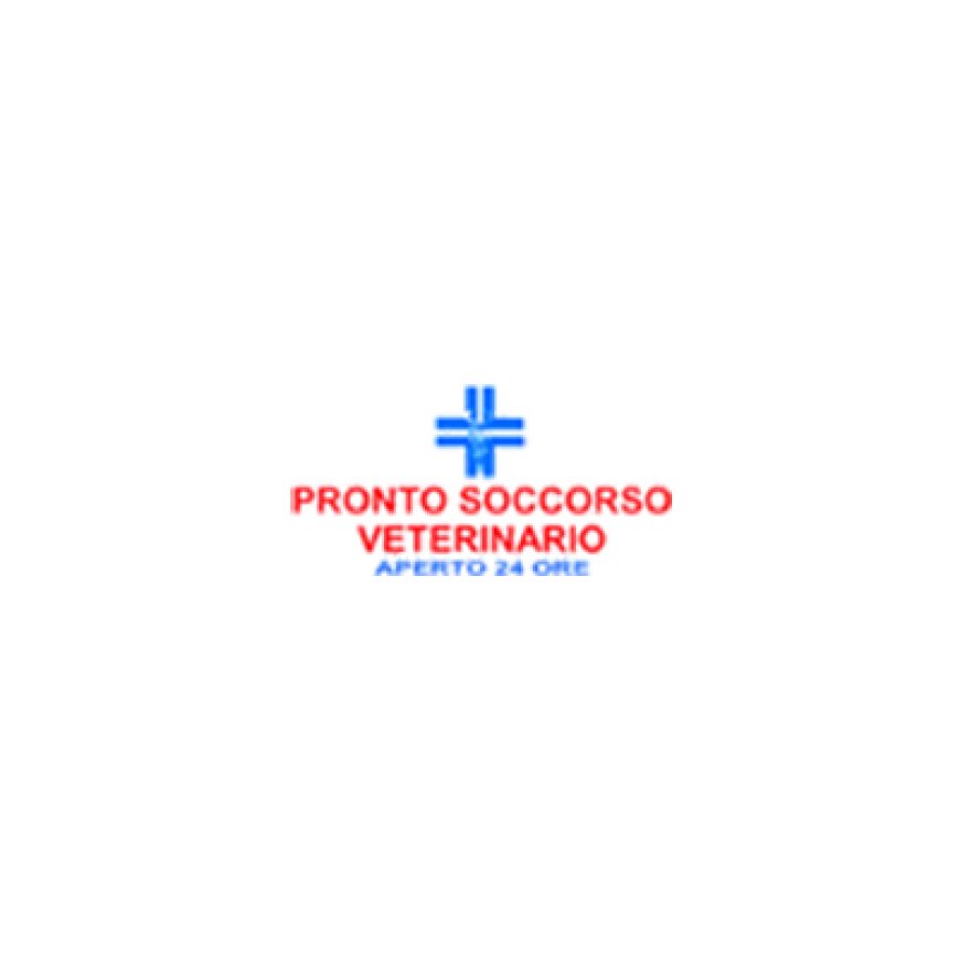 Arezzo Ambulatorio Veterinario Setteponti 0575 382700