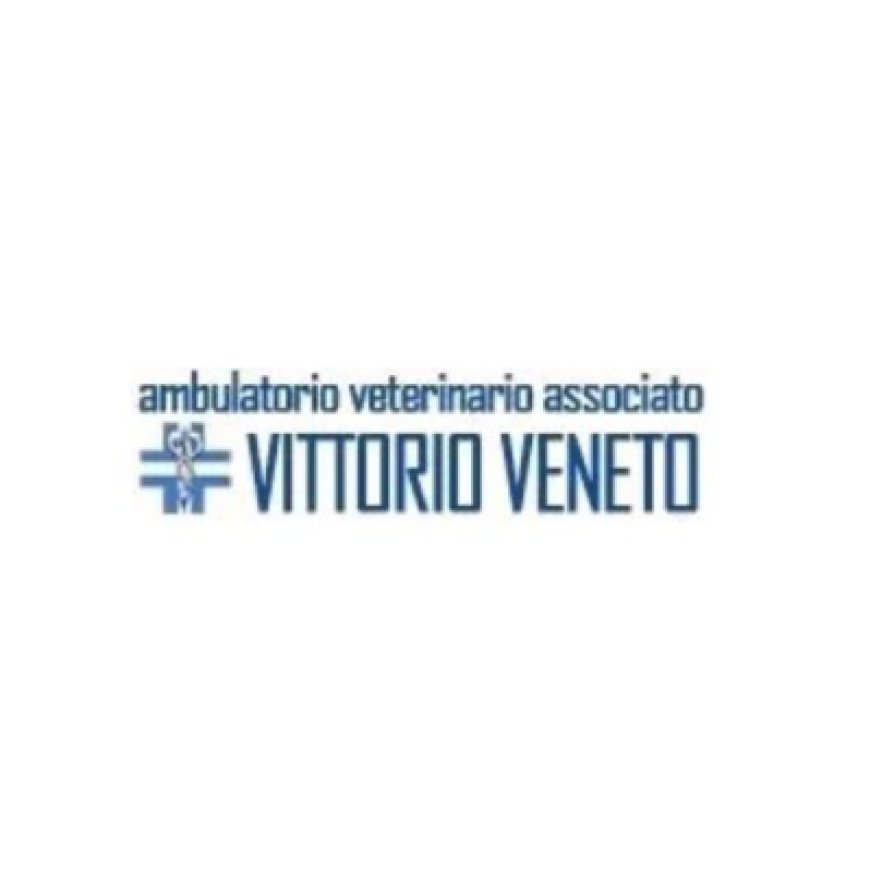 Arezzo Ambulatorio Veterinario Associato Vittorio Veneto 0575 908285