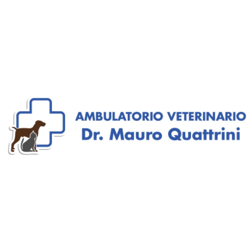 Arcidosso Ambulatorio Veterinario Quattrini Dr. Mauro 0564 968198