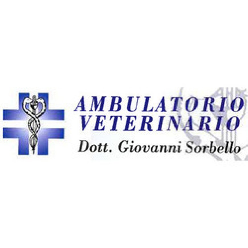 Acireale Studio Veterinario Giovanni Sorbello 333 9803483