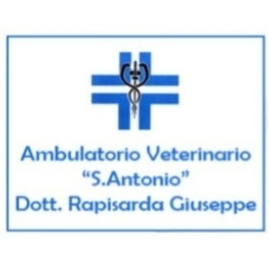 Aci sant&#039;&#039;antonio Ambulatorio Veterinario Sant&#039;&#039;Antonio 339 4174213