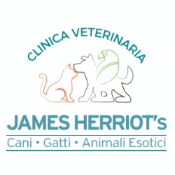 Velletri Clinica Veterinaria James Herriot in Velletri 06 39735101