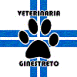 Ariccia Ambulatorio Veterinario Ginestreto 06 9344758