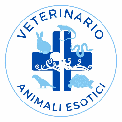 Novara Veterinario Animali Esotici - Dott. Stefano Cusaro 351 6006851