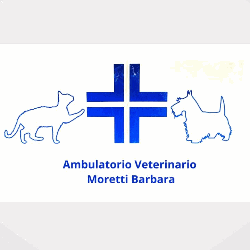 Empoli Ambulatorio Veterinario Dott.ssa Barbara Moretti 0571 590123