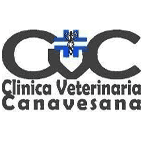 Banchette Clinica Veterinaria Canavesana 0125 51426